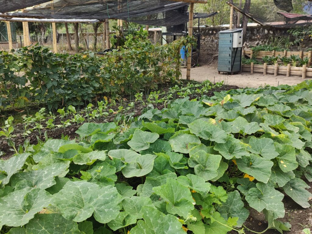 img 20220914 093713472